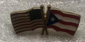 USA & Puerto Rico Friendship Lapel Pin