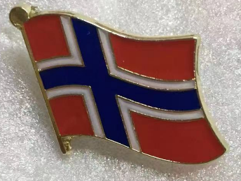 Norway Wavy Lapel Pin