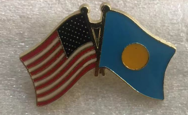 USA & Palau Friendship Lapel Pin