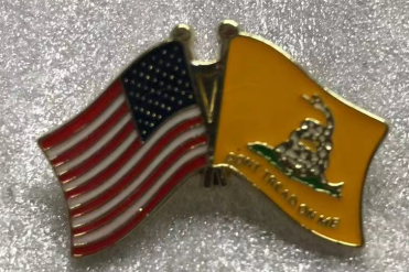 USA & Gadsden White Snake Friendship Lapel Pin