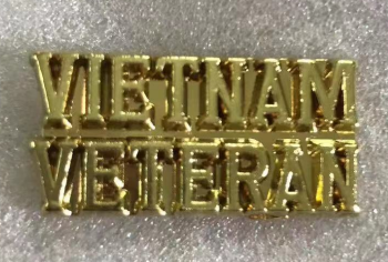 Vietnam Veteran Golden Lapel Pin