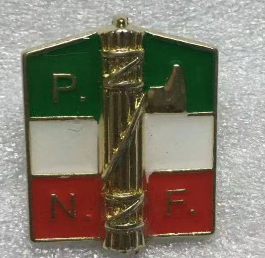 Partito Nazionale PNF Party Italy Lapel Pin