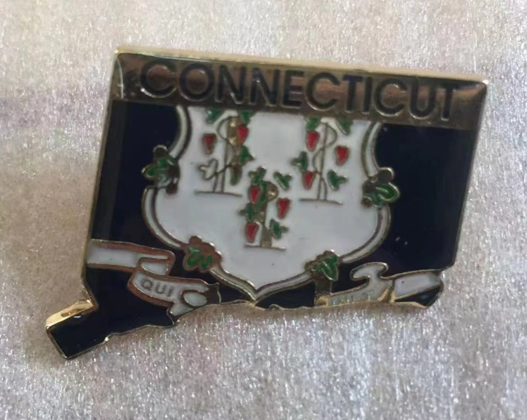 Connecticut State Map Lapel Pin
